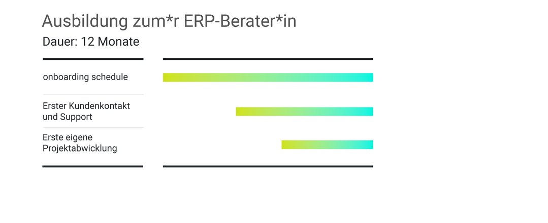 Ausbildungsplan ERP Consultant