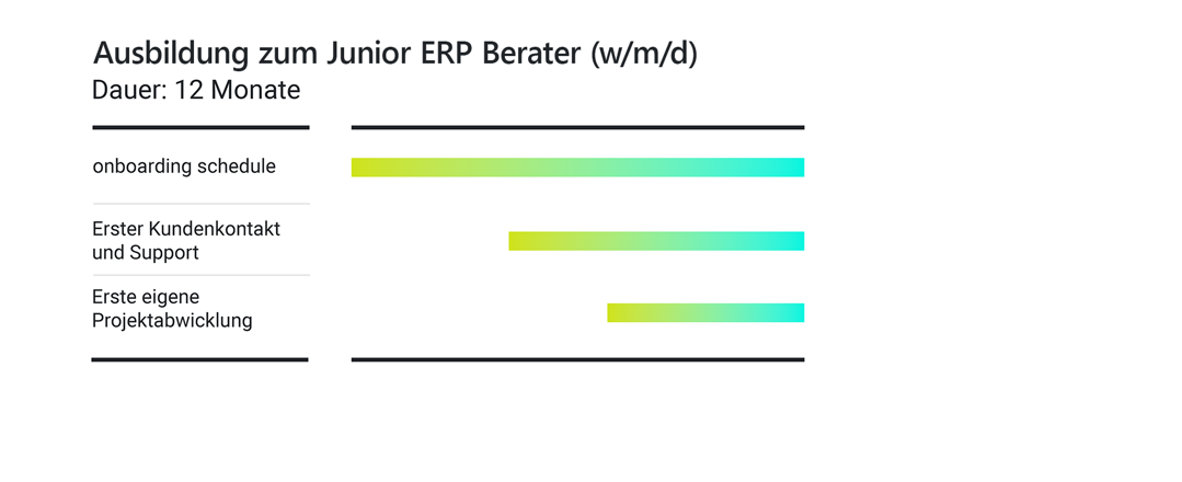 Ausbildungsplan Junior ERP Consultant