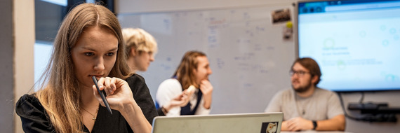 ERP Software Developer