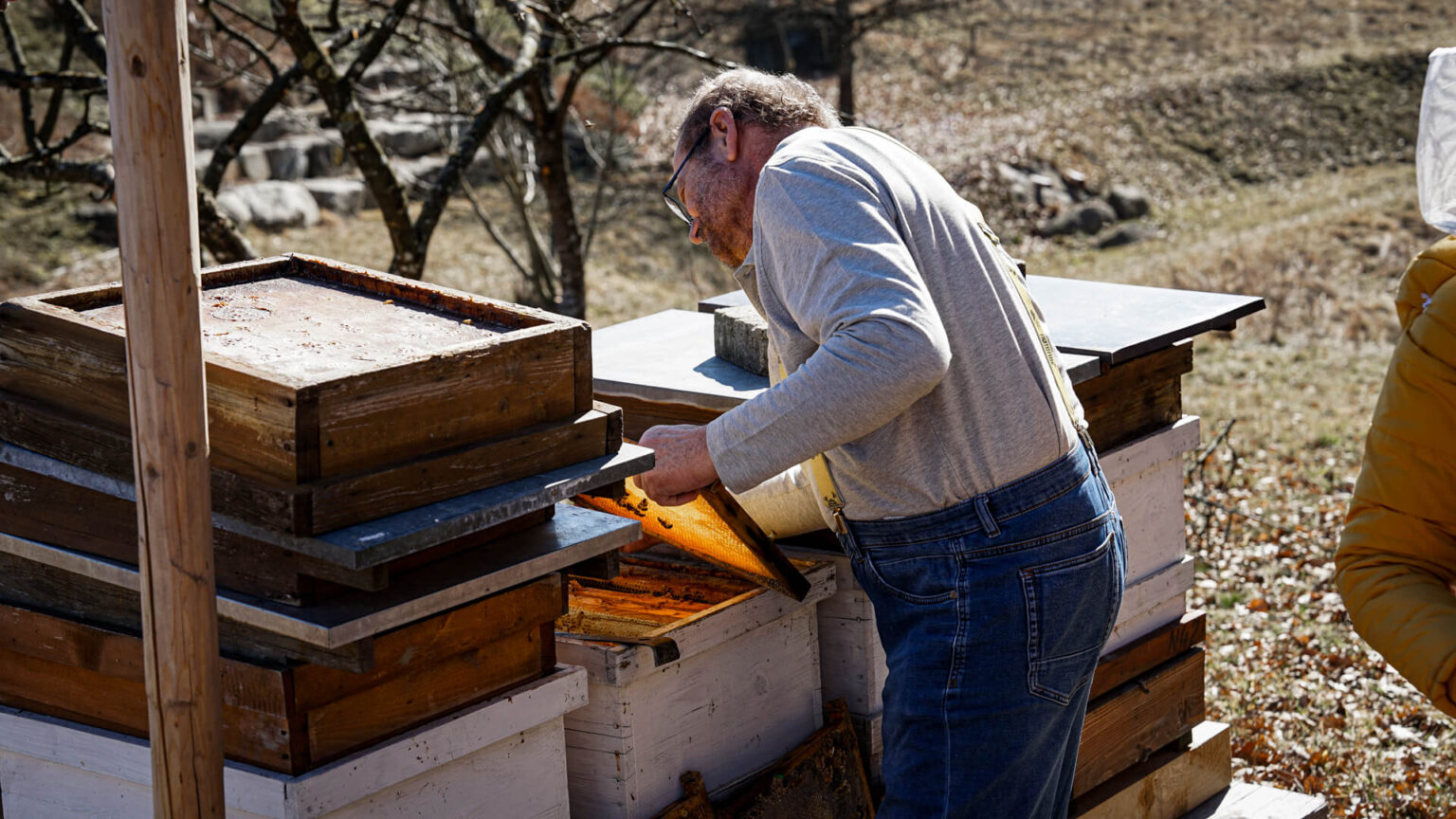 Imker bei den Bienenstöcken