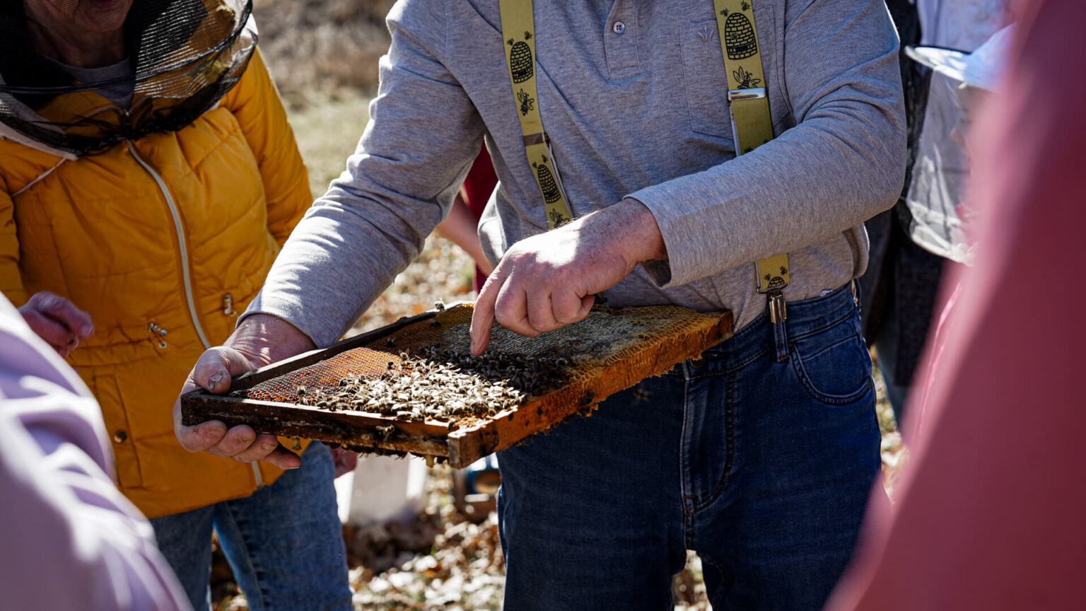 Bienenpatenschaft im COUNT IT Garten