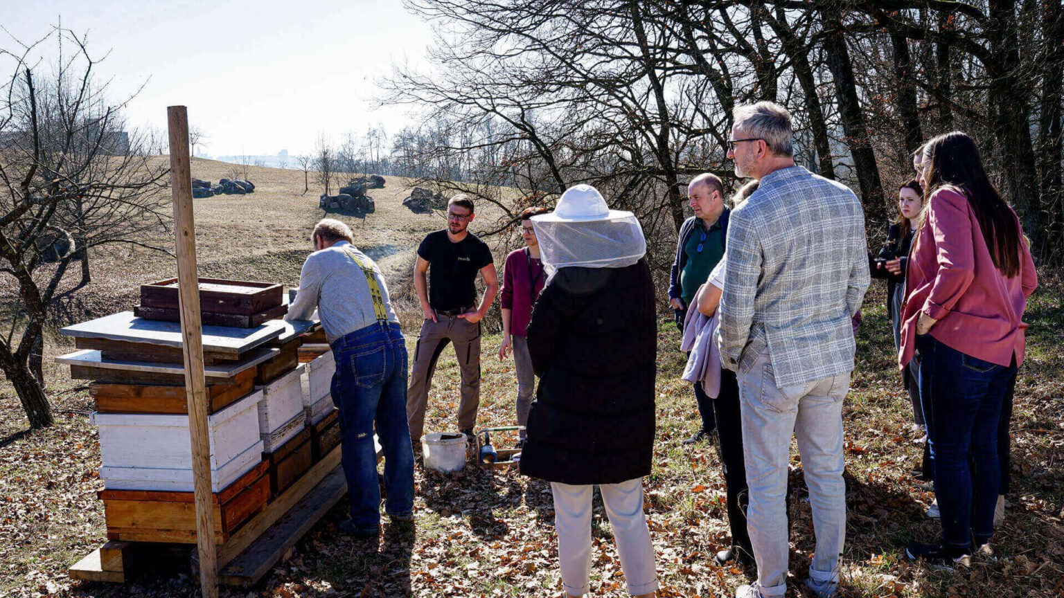 Mitarbeiter*innen sind sehr interessiert an den fleißigen Bienen