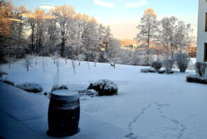 Der firmeneigene Garten im Winter