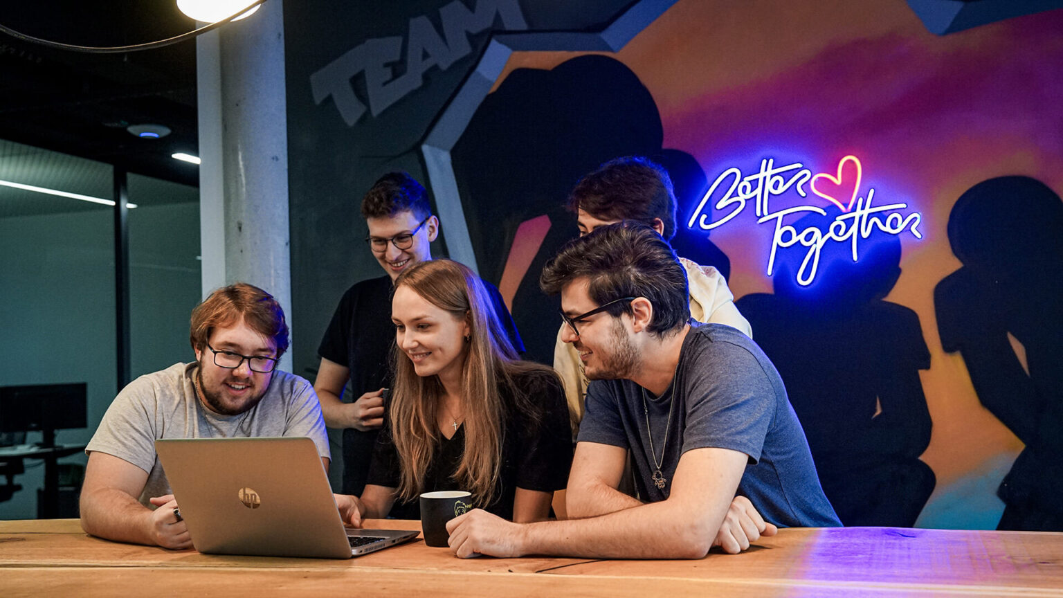 COUNT IT Software Developer