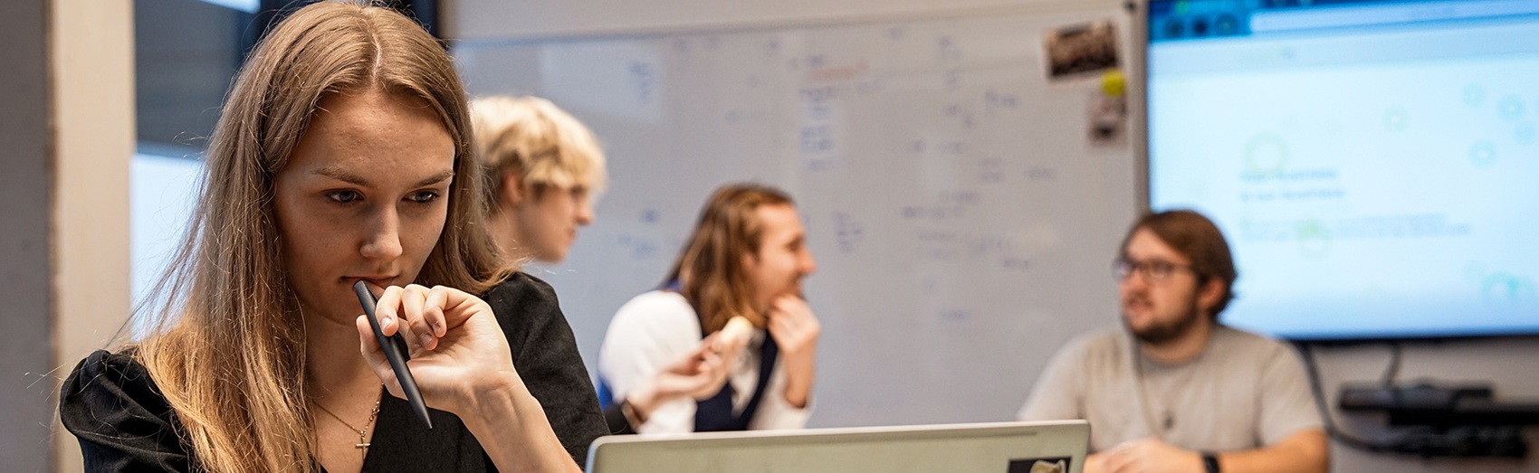 ERP Software Developer bei COUNT IT